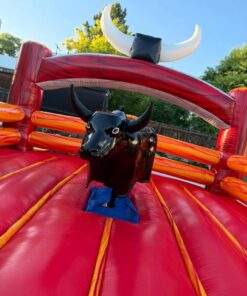 Inflatable Mechanical Bull