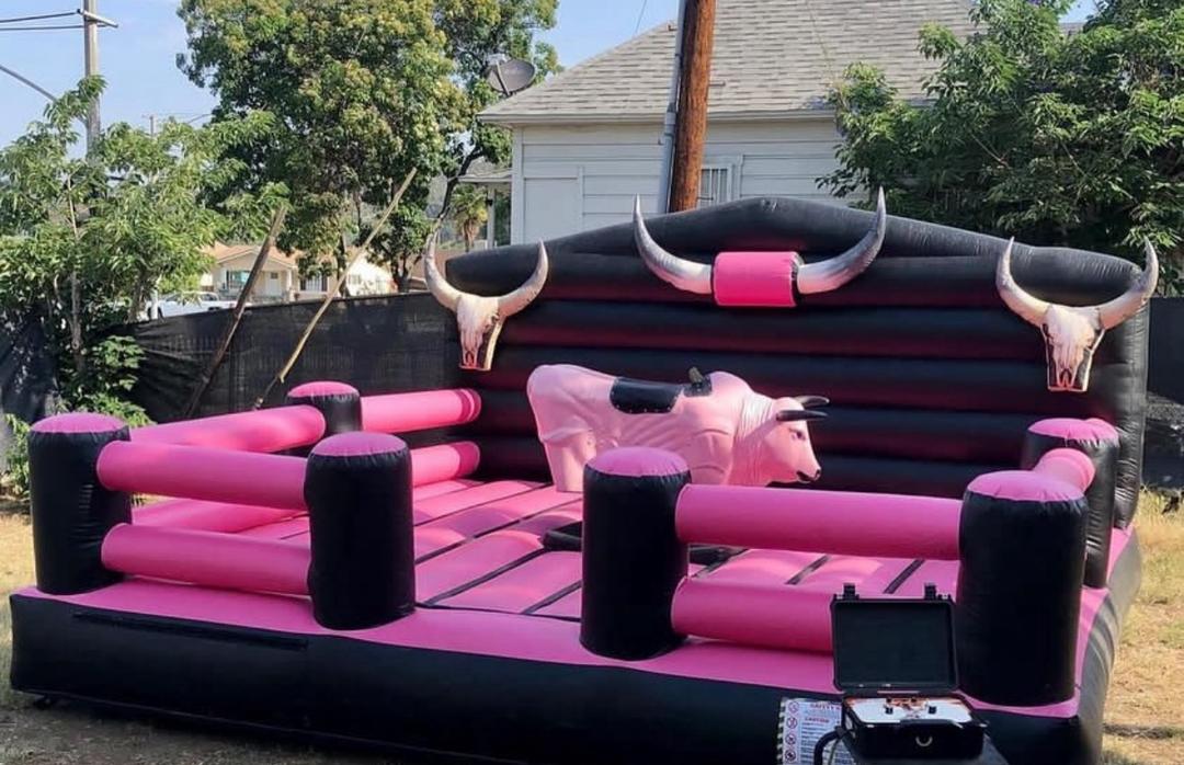 Mechanical bulls for sale