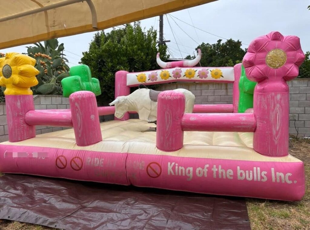 mechanical bull