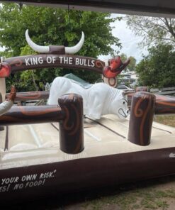 Alternative view of King of the Bulls – Mechanical Bull Ride