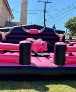 Pink & Black Rodeo Mechanical Bull
