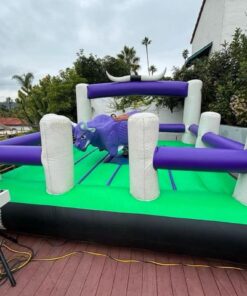 Alternative view of Cartoon Rodeo Arena